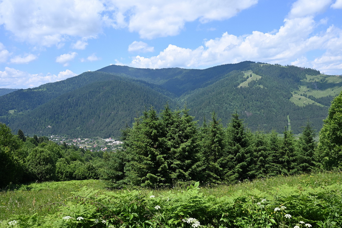 Priveliște 4
